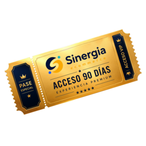 Programa Sinergia eCommerce | 90 días de acompañamiento
